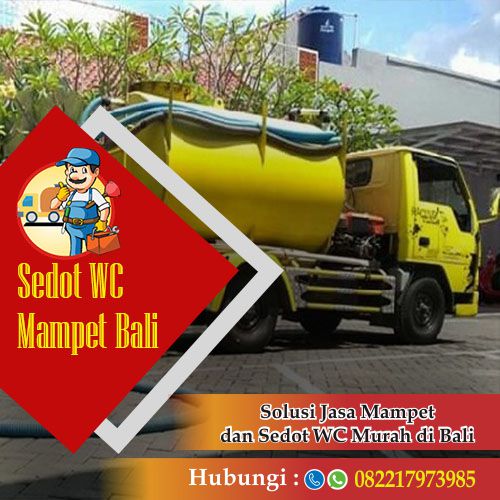 sedot wc mampet bali - profil-min