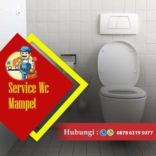 layanan sedotwcmampetbali 5